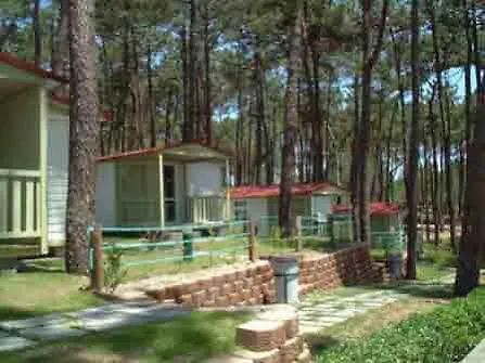 Orbitur Valado Bungalows Caravan Park نازاريه